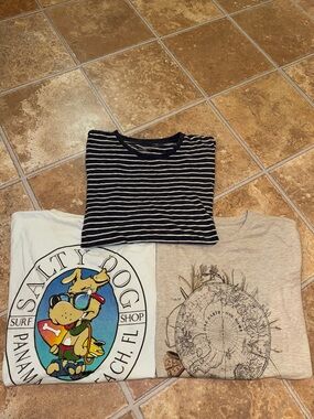 Bundle of 3 men’s short sleeve t-shirts banana republic/ J CREW / PCB salty dog